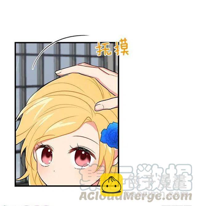喜欢的感觉15