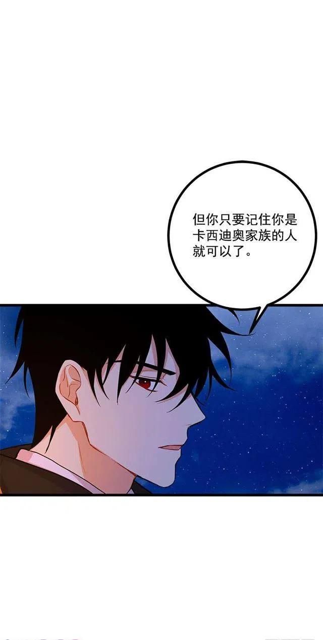 新护卫17