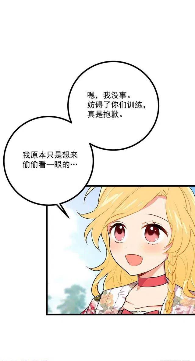 新护卫2