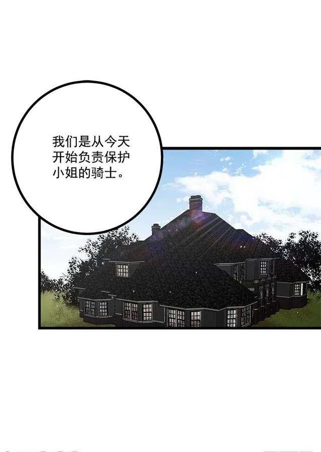 新护卫25