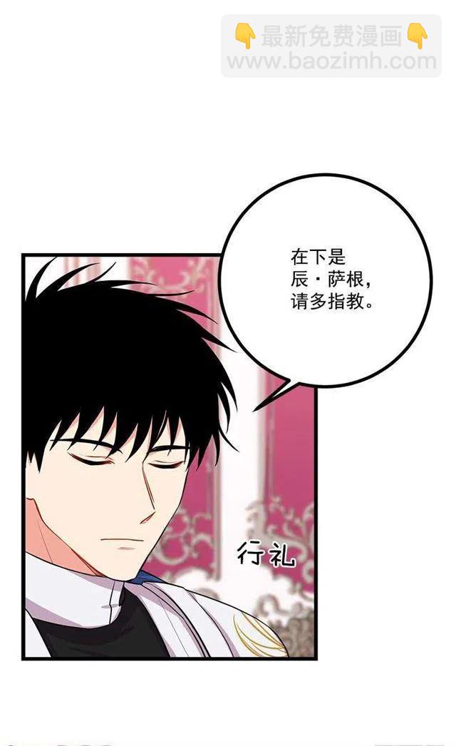 新护卫26