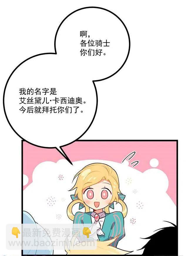 新护卫29