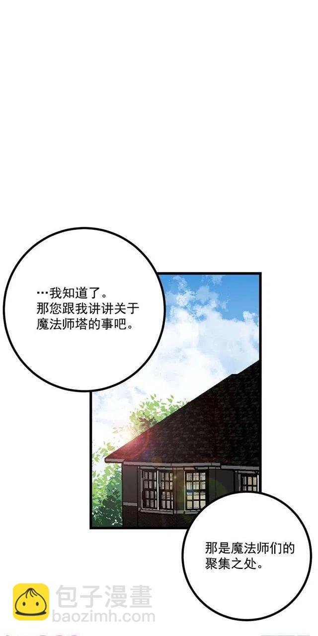 魔法师与魔法师塔2