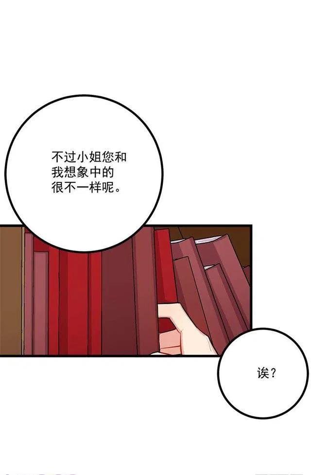 魔法师与魔法师塔31