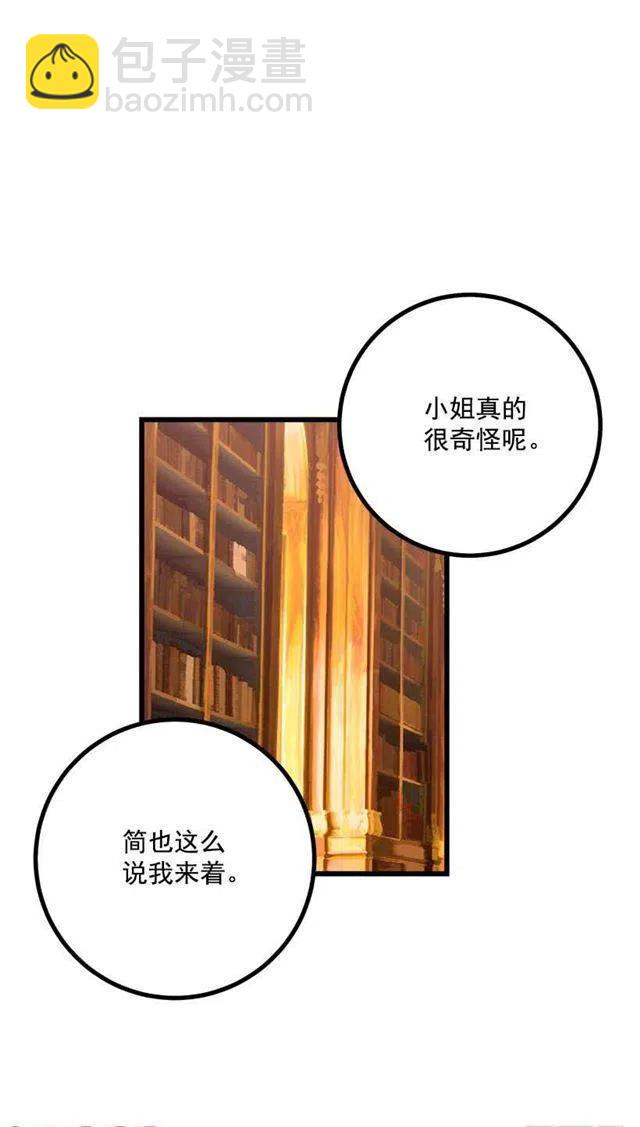 魔法师与魔法师塔43