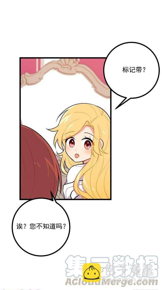 狩猎大会的标记带30