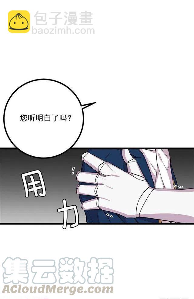 埃默尔的嘱托30