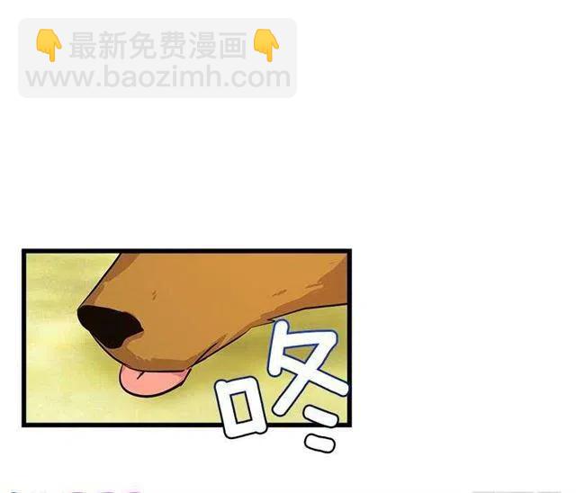 熊11