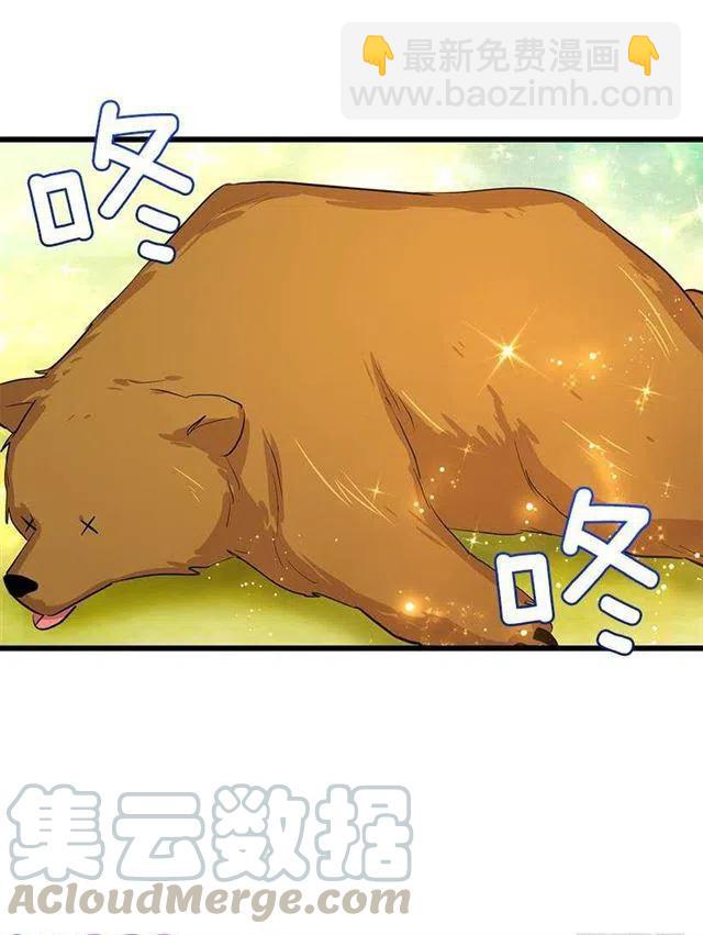 熊12