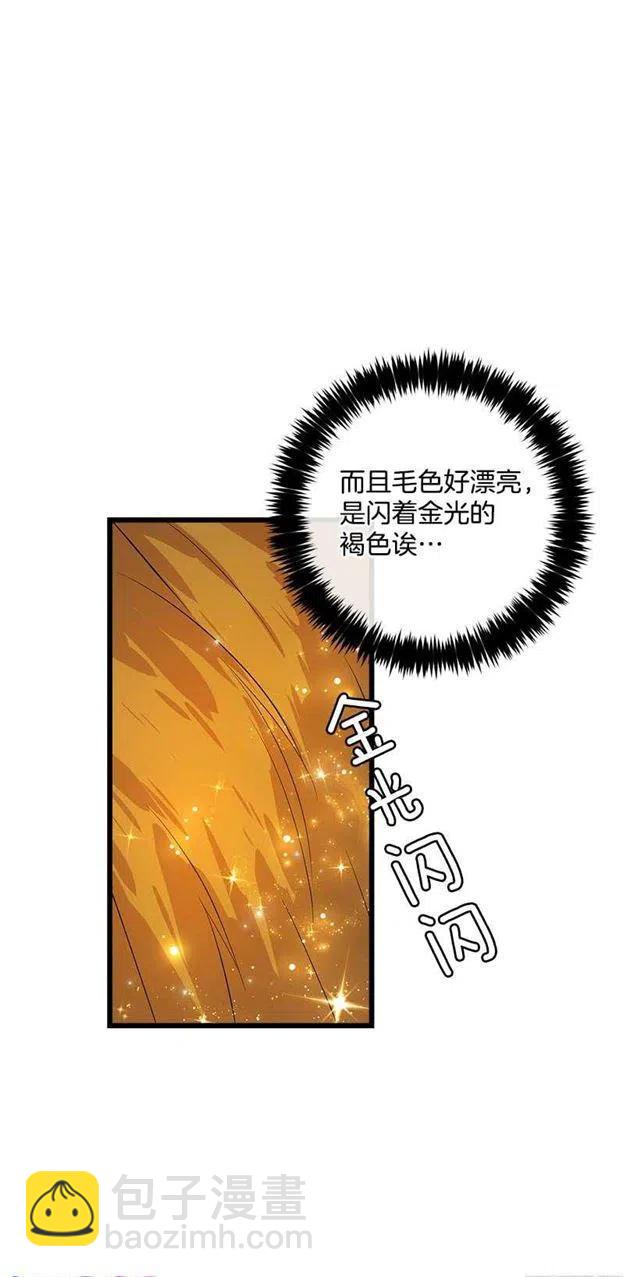 熊14
