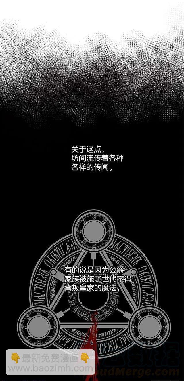 45.精灵石的声音21