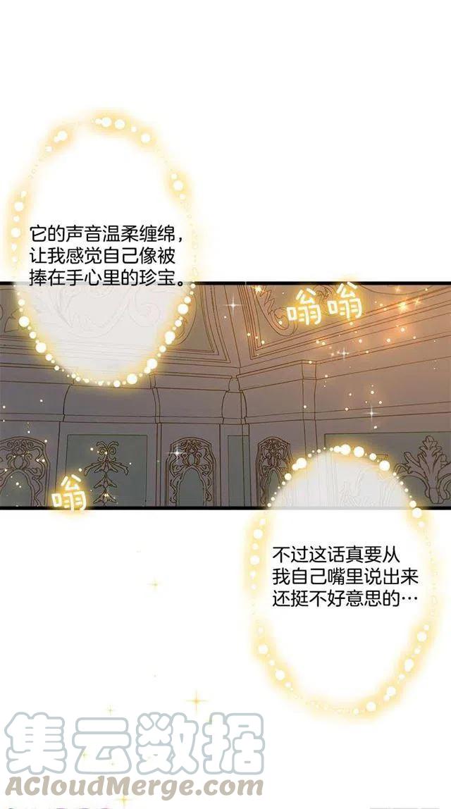 47.精灵的护佑18