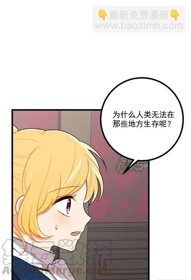 47.精灵的护佑36