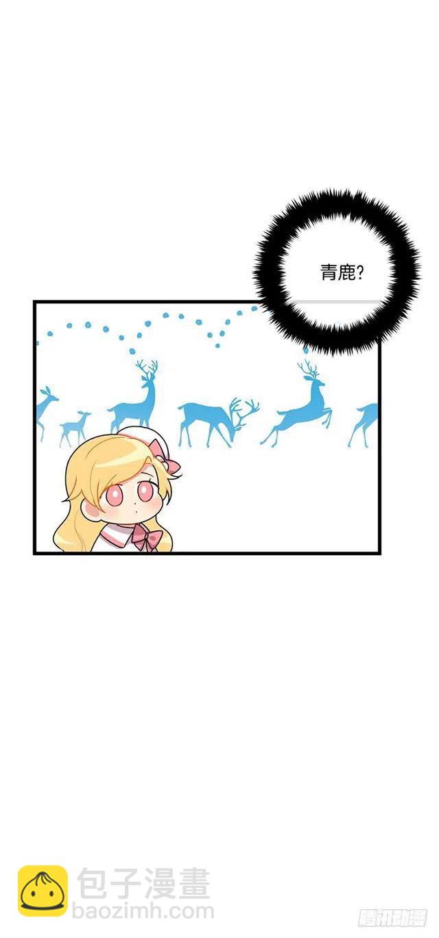 62.生日礼物35
