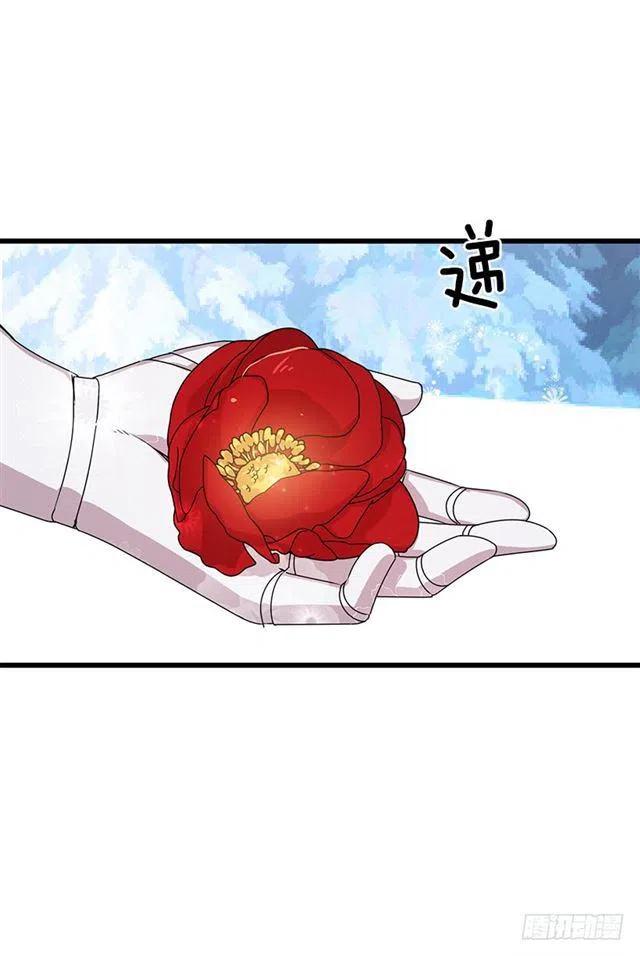 64.黑狼骑士团43