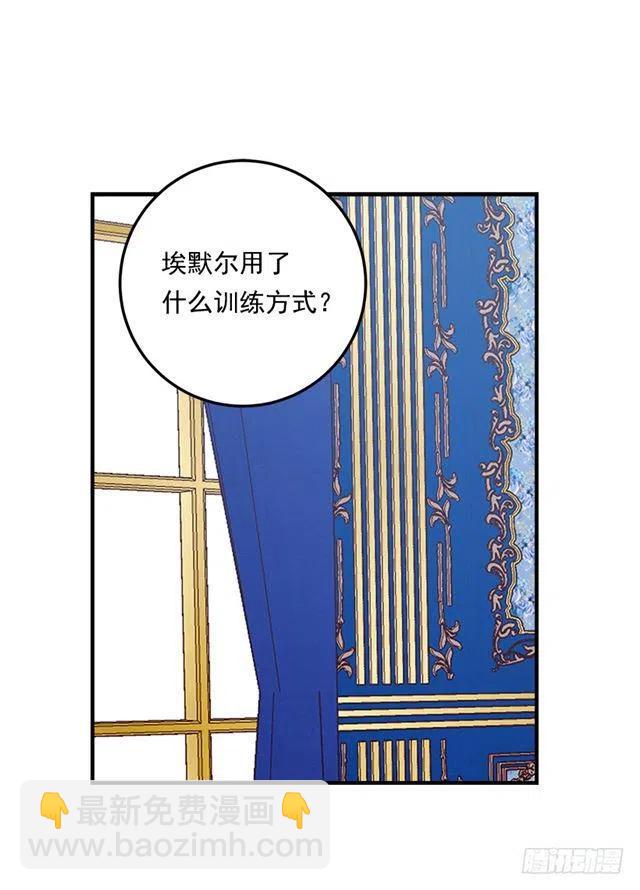 100.埃默尔的另一面26