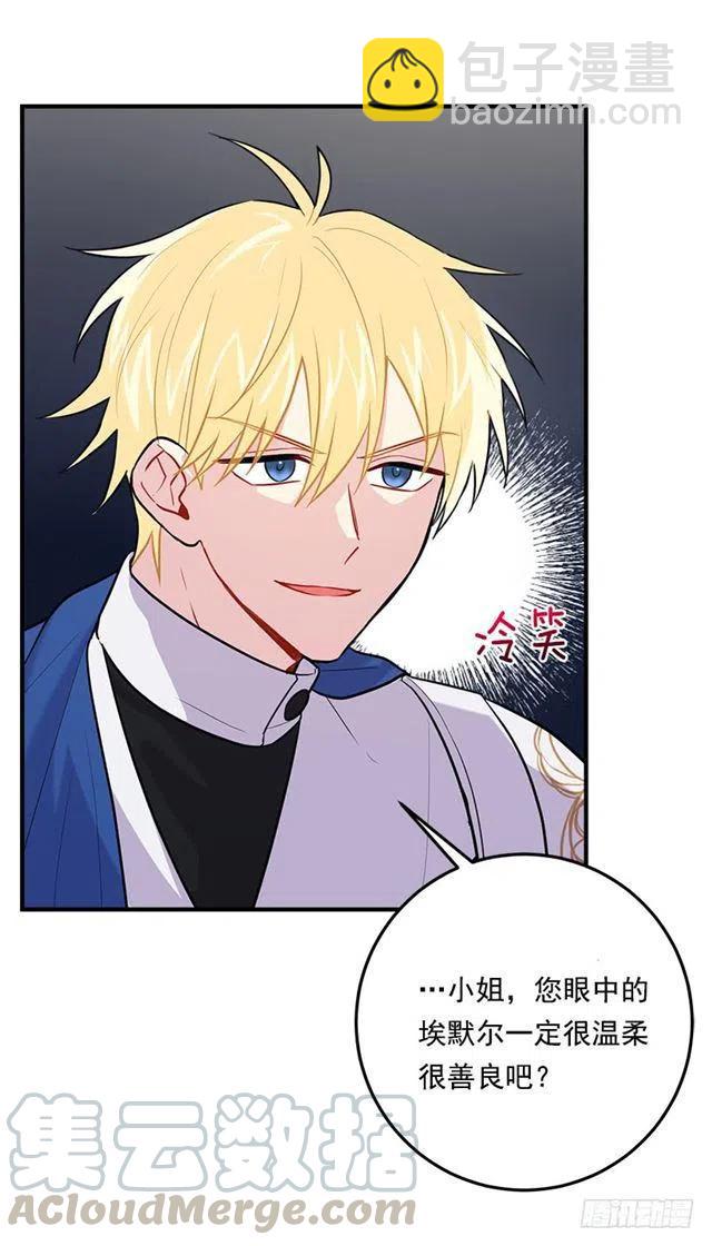 100.埃默尔的另一面27