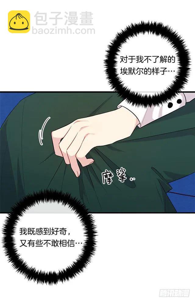 100.埃默尔的另一面31