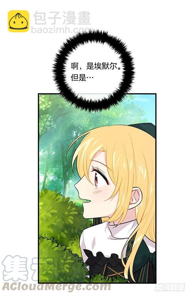 100.埃默尔的另一面36