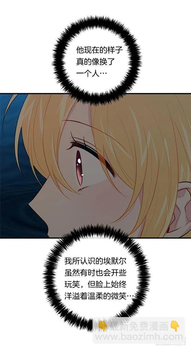 100.埃默尔的另一面38