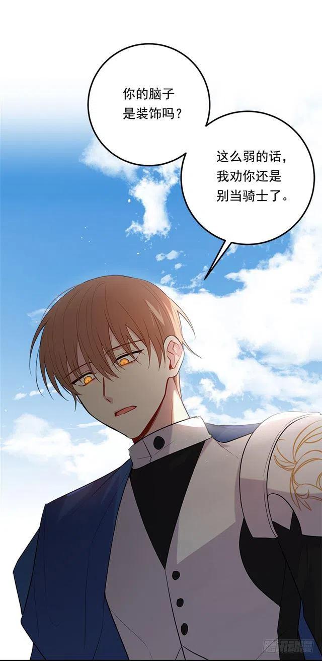 100.埃默尔的另一面41