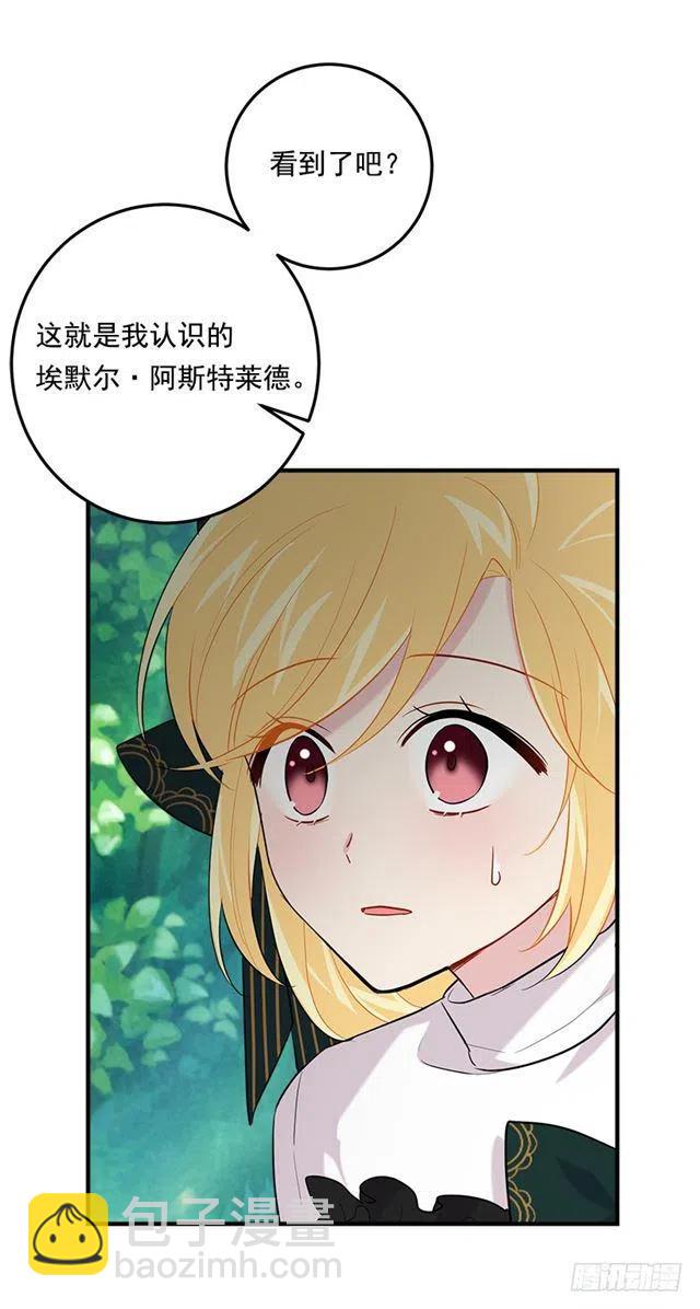 100.埃默尔的另一面44