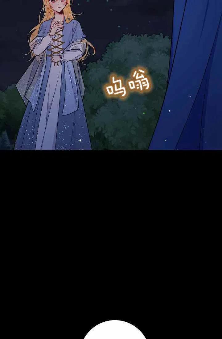 16426
