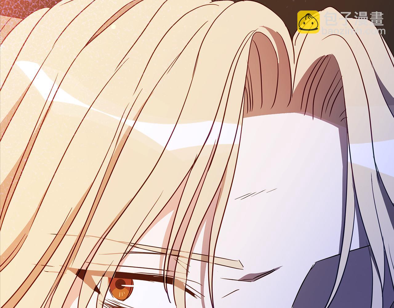 第111话 生日宴244