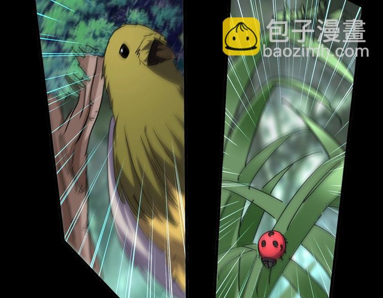 第202话 启程73
