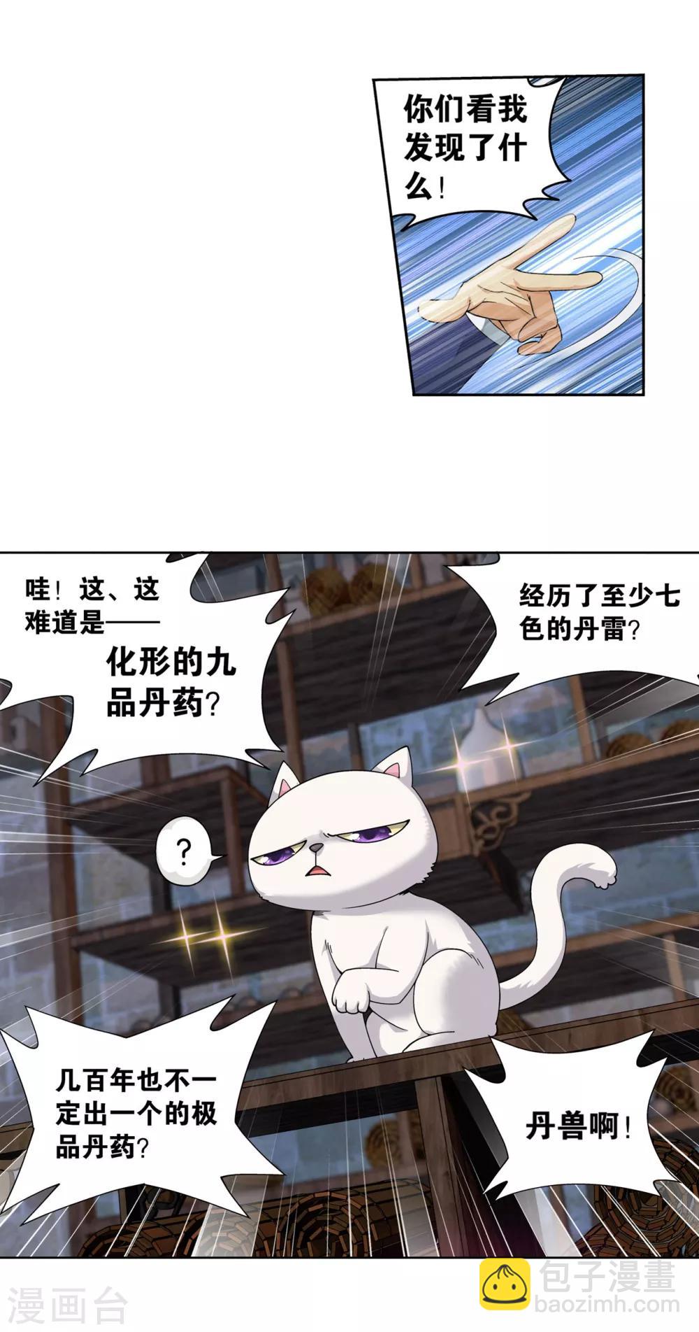 第870话 灵猫9