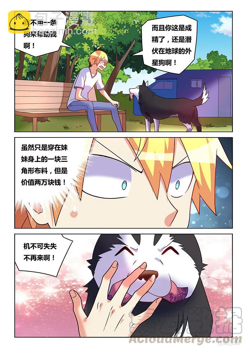 194 功败垂成2