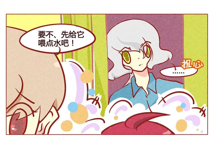 失去布丁的狗生13