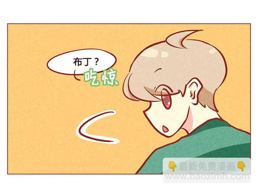 失去布丁的狗生16