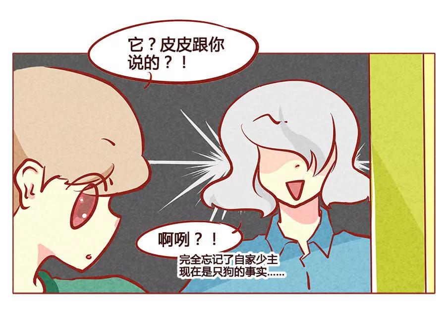 失去布丁的狗生19