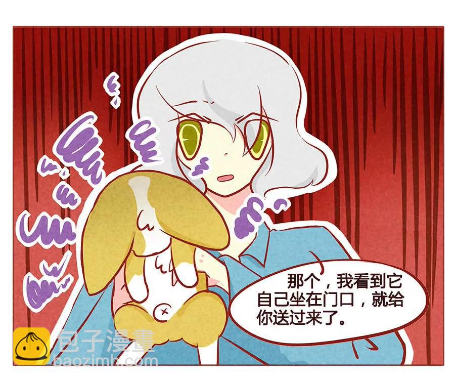 失去布丁的狗生9