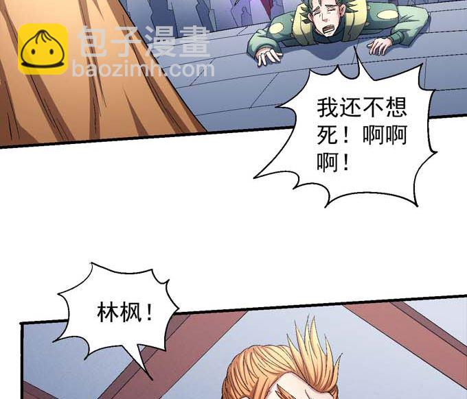 第156话 杀禹天行（3）29