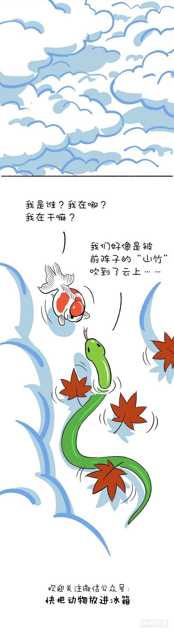 109国庆冷萌攻略1