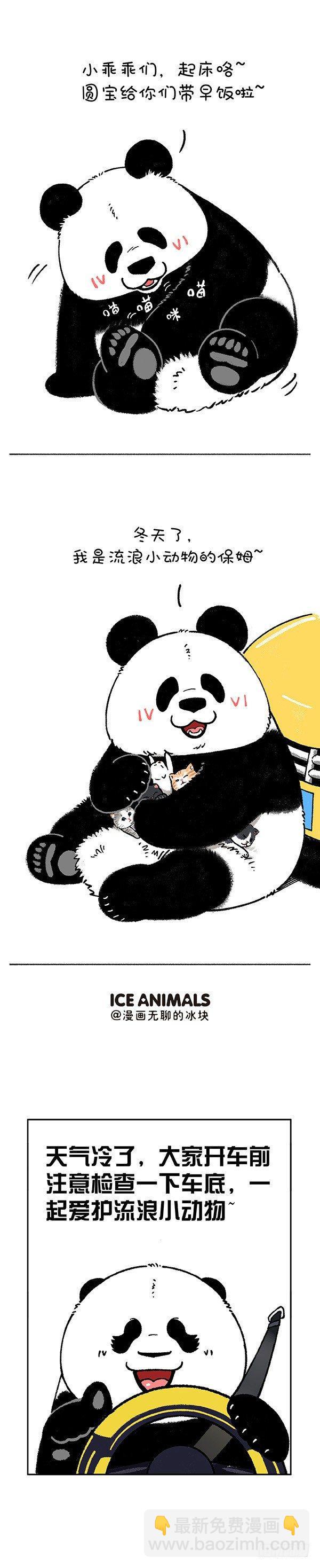 196你应该在车里，不应该在车底3