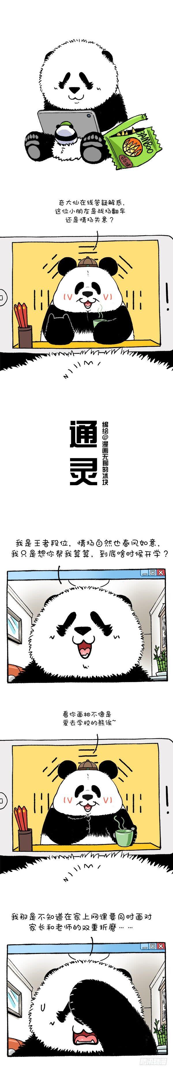 213萌熊大仙在线算命0