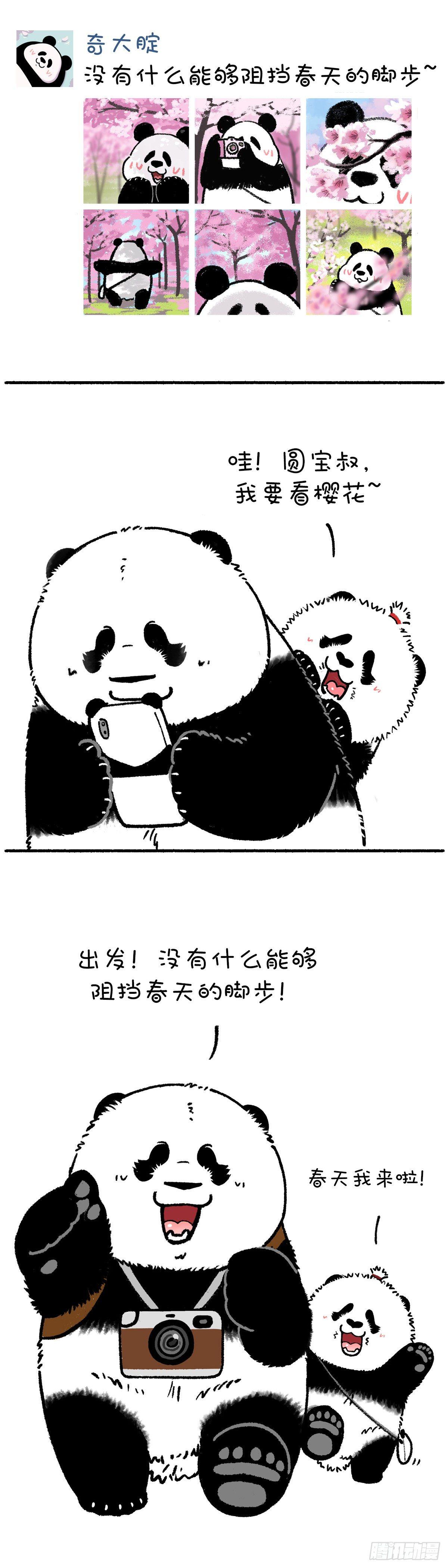 没有什么能够阻挡春天的脚步0