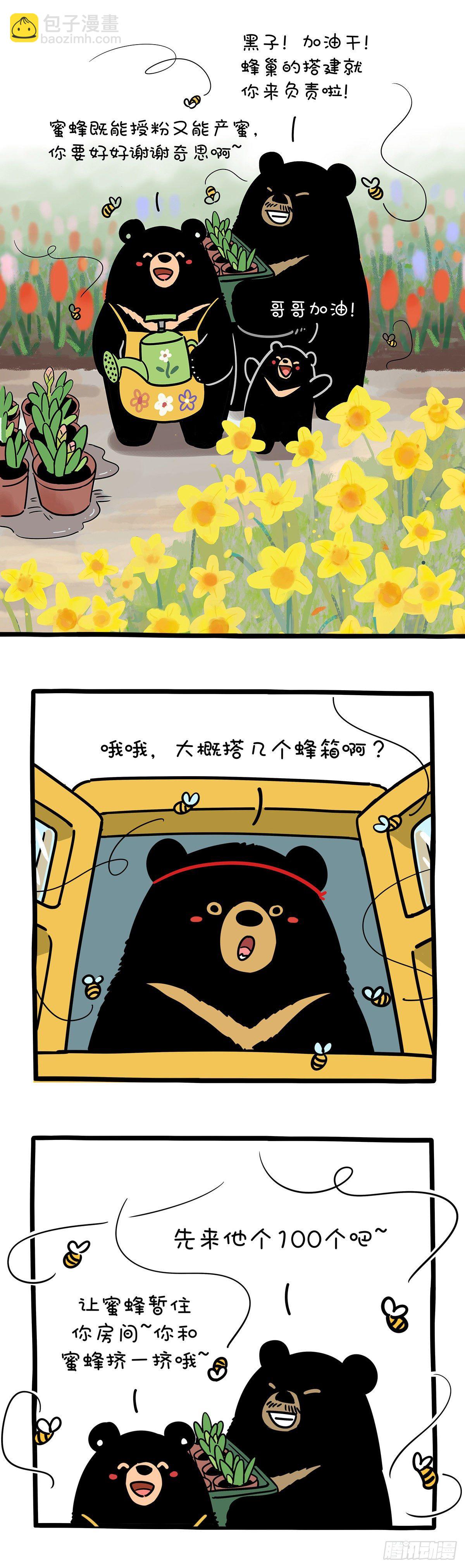 有的熊开春劳作 有的熊已经收获3