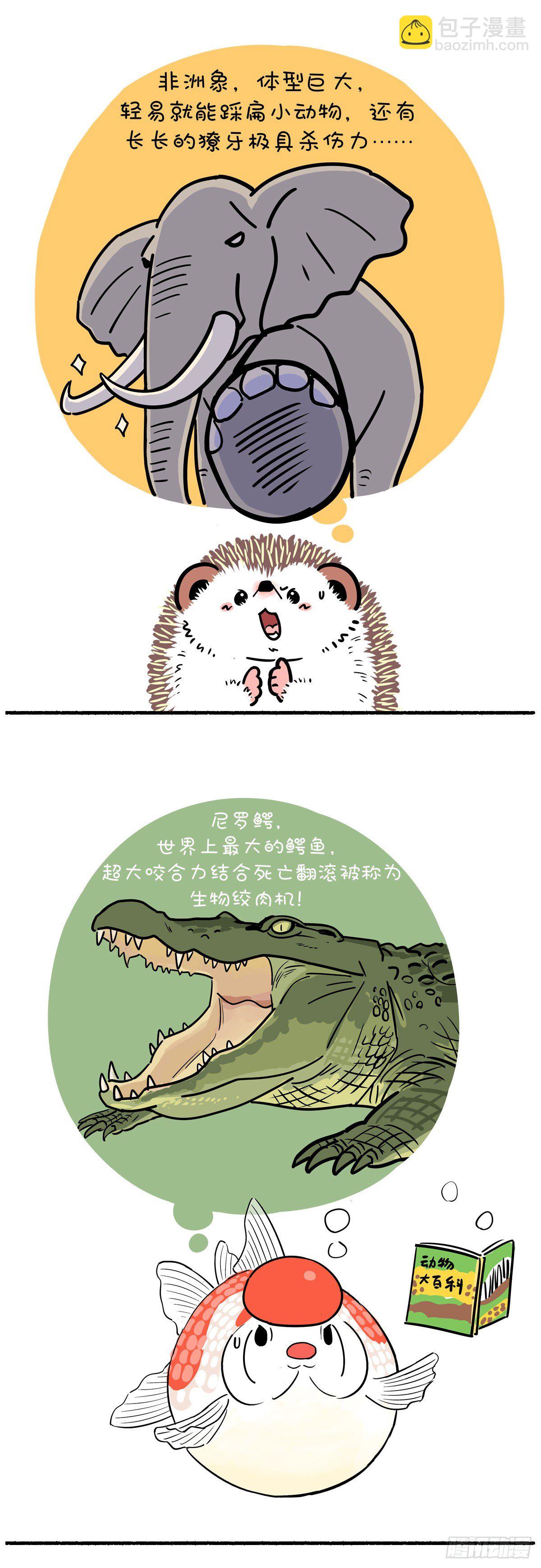 世界上最致命的动物是什么？1