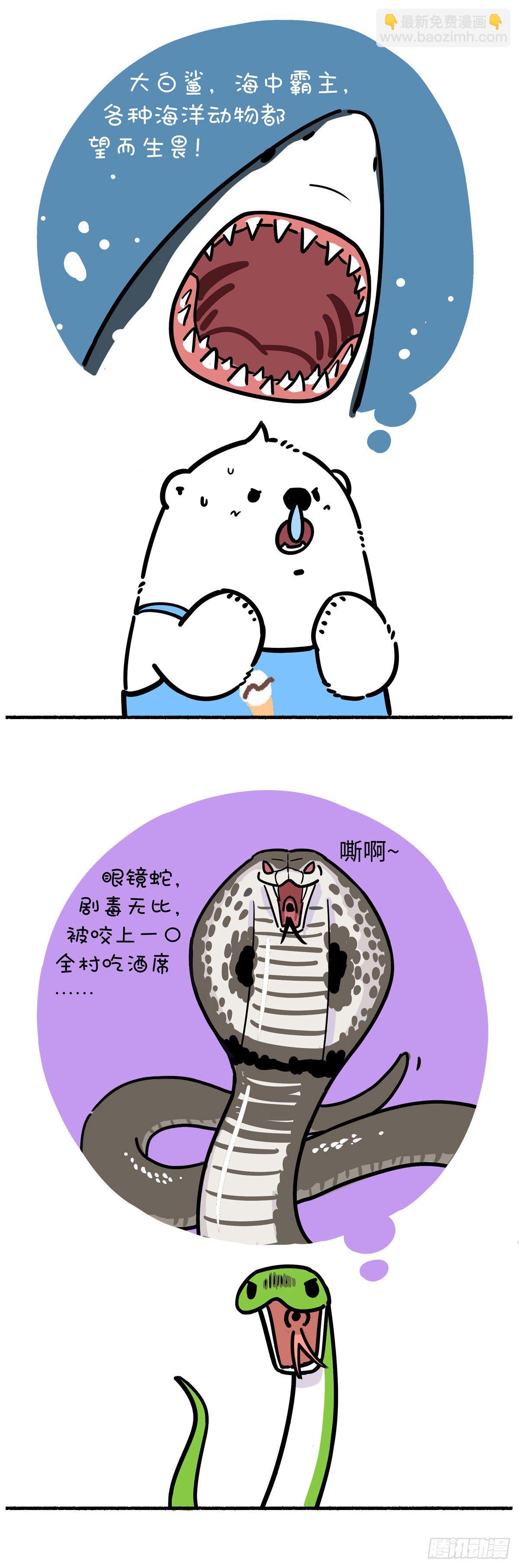 世界上最致命的动物是什么？2