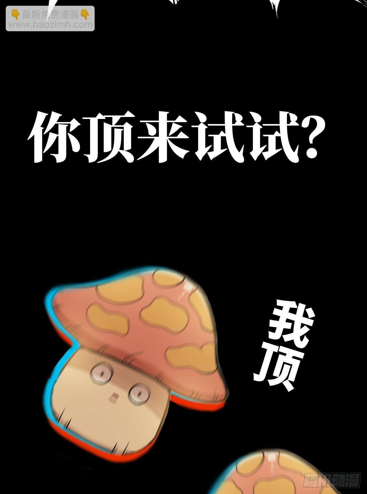 新作推荐18