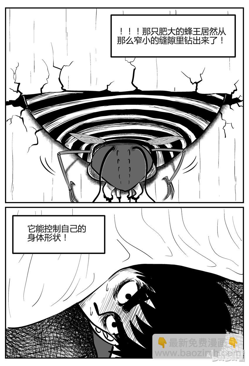 042 它：蜂群（3）17