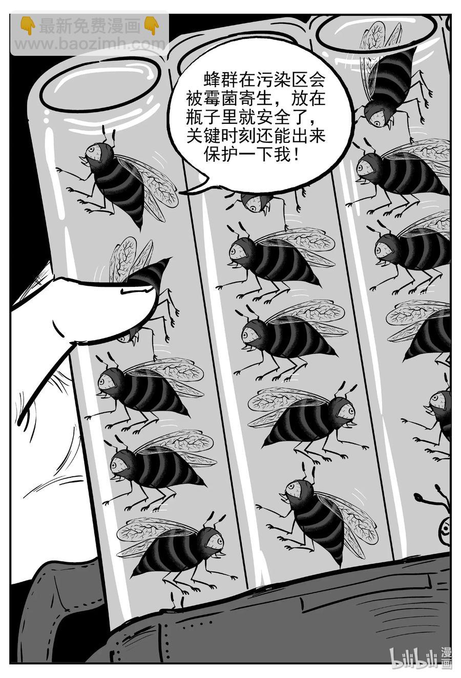 482 它74