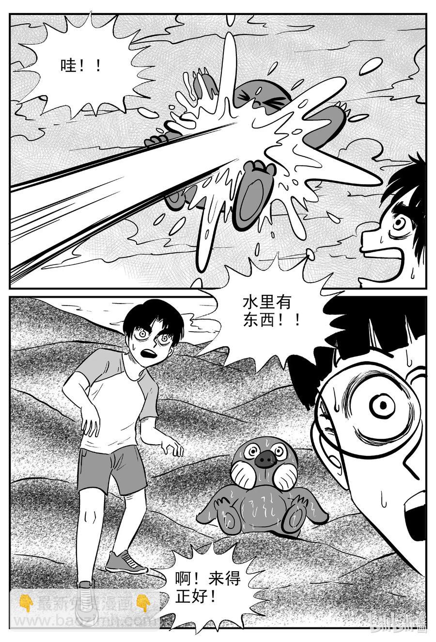 491 它716