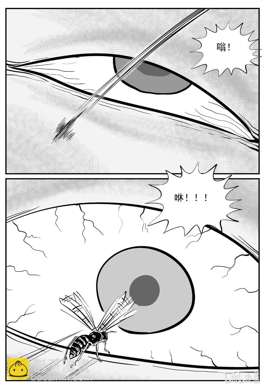504 它74