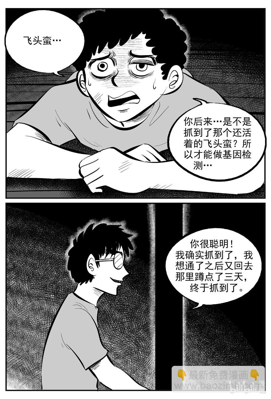 579 飞头蛮9