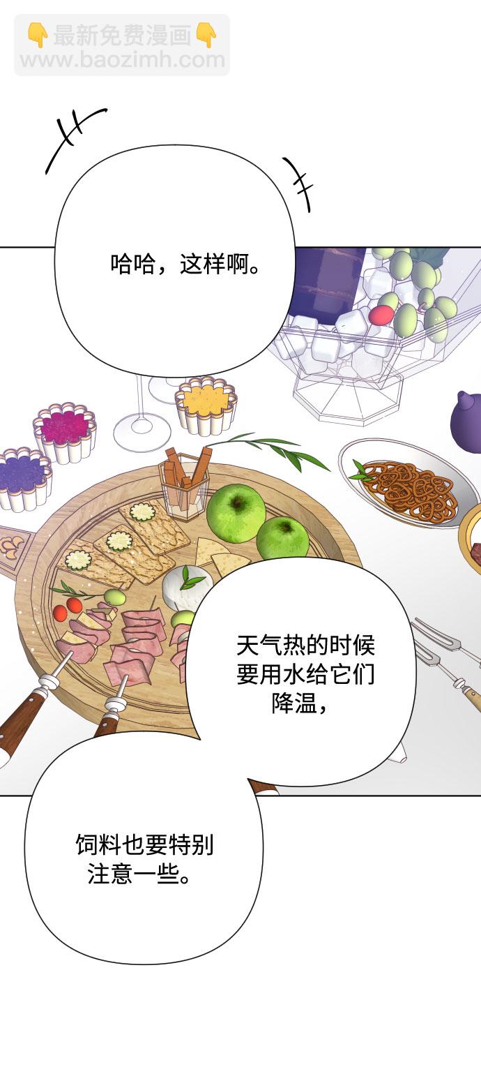 第61话 博埃伦骑马会（4）46